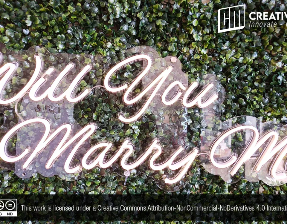 ‘Will You Marry Me?’ Cool White LED Neon Sign