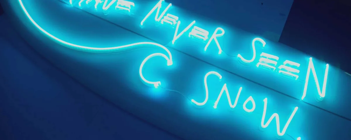 ‘I have never seen snow’ Light Blue LED Neon Sign